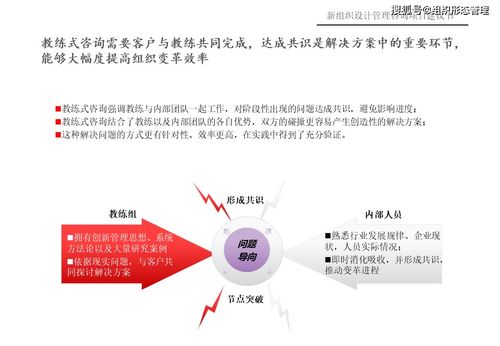 新组织设计管理咨询项目建议书