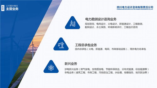北京产权交易所 四川电力设计咨询有限责任公司 混合所有制改革项目推介