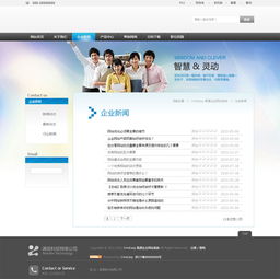 淡蓝色咨询策划翻译企业网站模板,公司网站模板