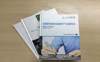 化工厂项目建议书 中哲 咨询与策划专业服务