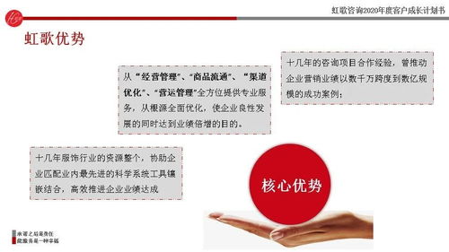 虹歌咨询2020年度客户成长计划书