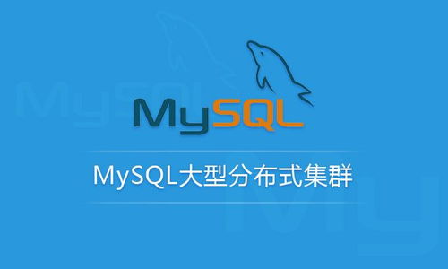 MySQL性能管理与架构设计 从SQL优化到分库分表的完整策略