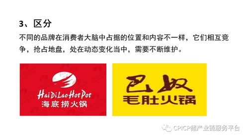 肖一刀 从零起步，匠心打造猪肉品牌的突围之路